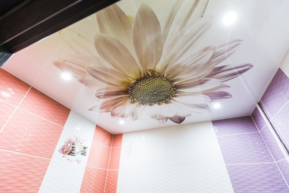 Заказать натяжной потолок с фотопечатью в г. Донской